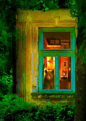 Bear looking out window into forest