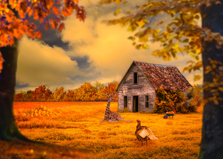 Giraffe and turkey in golden autumn landscape.