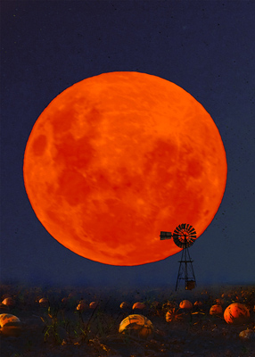 Old fashioned windmill silhouetted against a big orange moon, shining down on a pumpkin field.