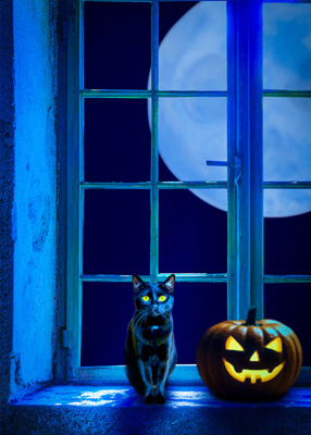 Black cat in the window with a spooky moon behind him.