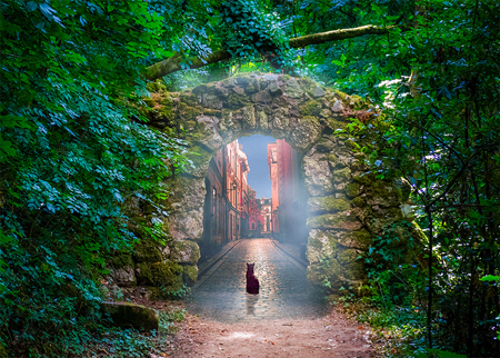 Cat sitting under an arch between two worlds, the forest behind him, a city street ahead of him.