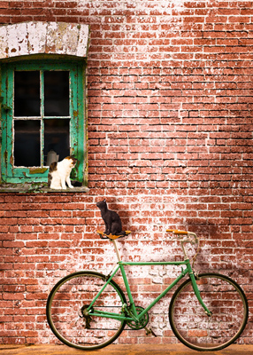 Tabby in the window looking down at a black cat on a bicycle, looking up.