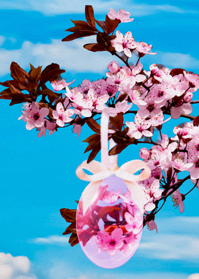 Closeup of crystal egg hanging from a cherry blossom branch.