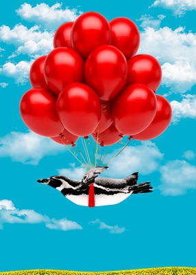 Penguin held aloft by a bundle of red balloons above a field of sunflowers.