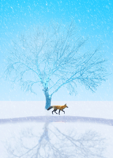  Fox trotting through snowy landscape, a bare winter tree reflected in the frozen pond.