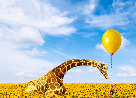 Bunny offering a yellow balloon to a giraffe.