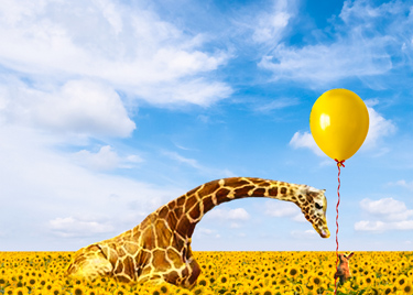  Bunny offering a yellow balloon to a giraffe.