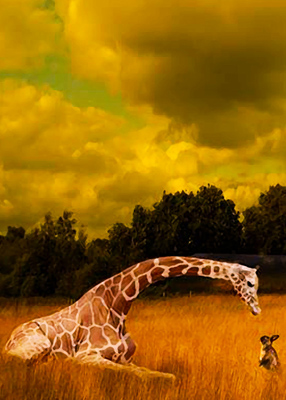 Giraffe bending down to greet small bunny in long grass.