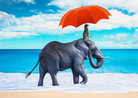 Meerkat holding an orange parason above the head of an elephant as they take a stroll on the beach.