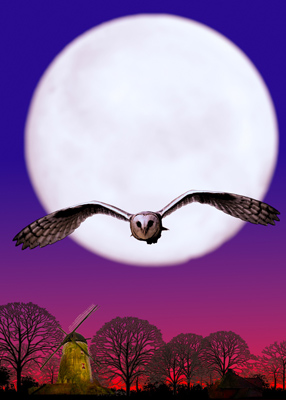 An owl flies above an old windmill, illuminated by moonlight.
