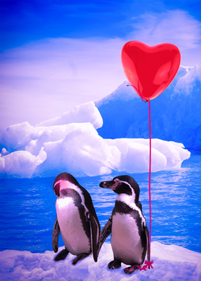 Penguin offers a red heart balloon to his love, who looks away, blushing.