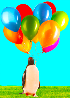 Penguin holding a large bunch of colorful balloons.