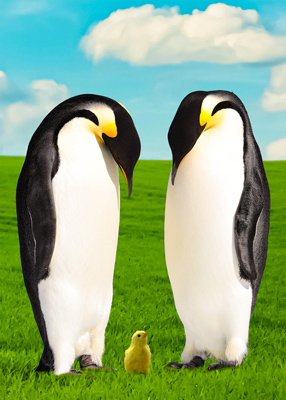 Two penguins looking down at a yellow, fluffy, baby chick. The chick appears to have adopted them as her parents. They appear somewhat perplexed.