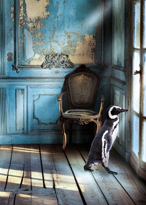 A pensive-looking Penguin staring out the window of an elegant room.