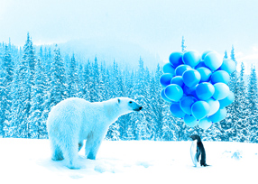 Penguin offers a bouquet of blue balloons to a polar bear.