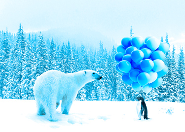  Penguin offers a bouquet of blue balloons to a polar bear.