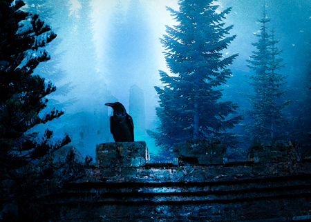 Raven perched on castle turret.