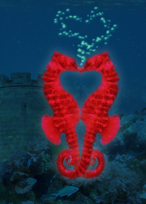 Two red seahorses touching noses while their bodies form a heart shape .