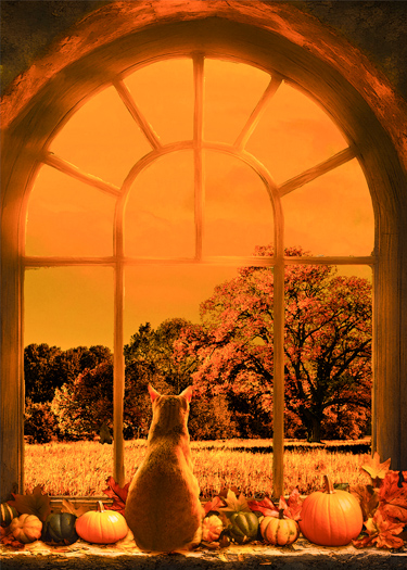  Orange cat sitting among pumpkins on a window looking out upon an autumn landscape.