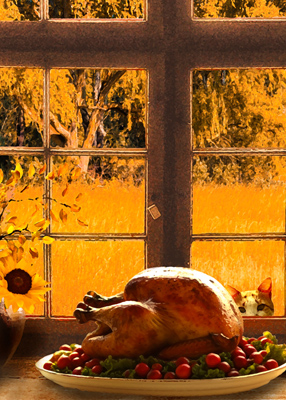 Tabby cat peeking in the window at a Thanksgiving feast.