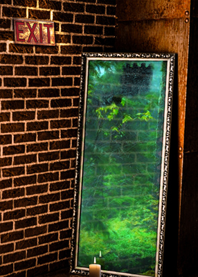 Mirror leaning against a brick wall, reflecting a forest. An exit sign on the wall above the mirror.
