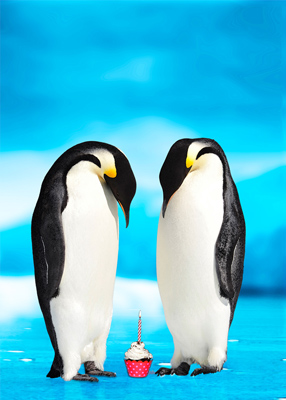 Two penguins looking down at a birthday cupcake with one lit candle.